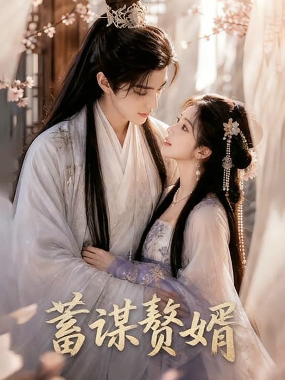蓄谋赘婿