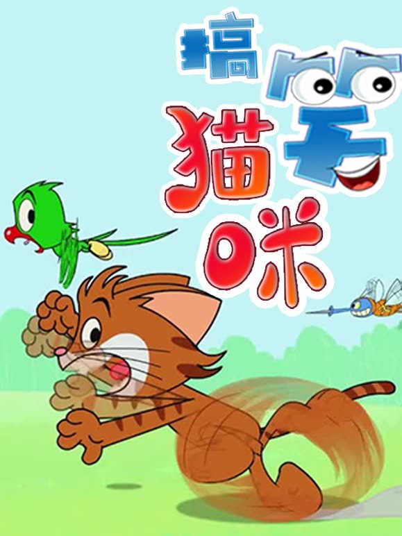 搞笑猫咪