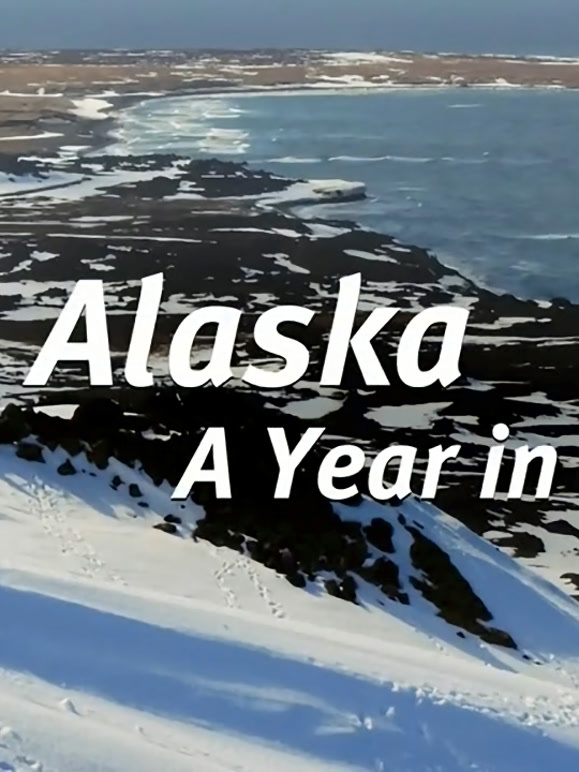 阿拉斯加：荒野年轮