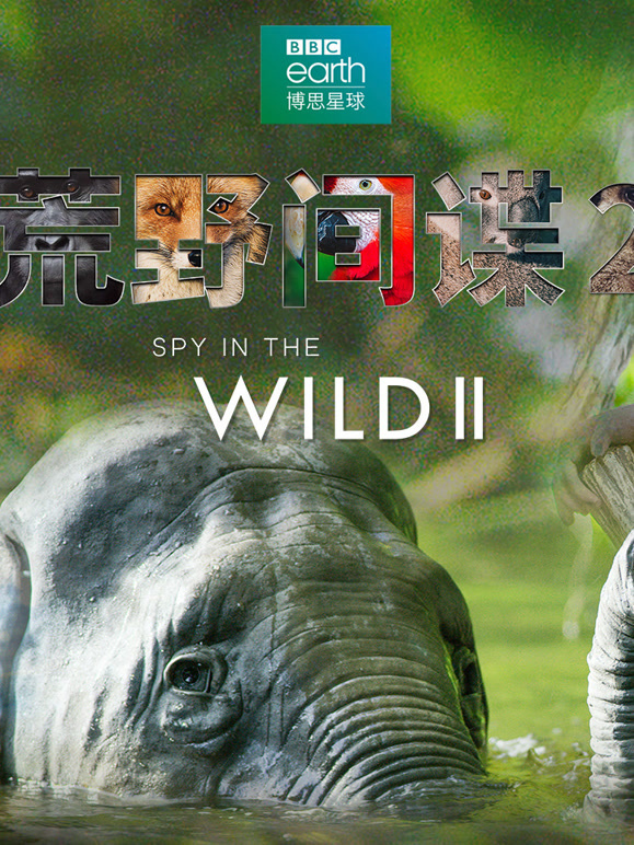 荒野间谍第二季中文版