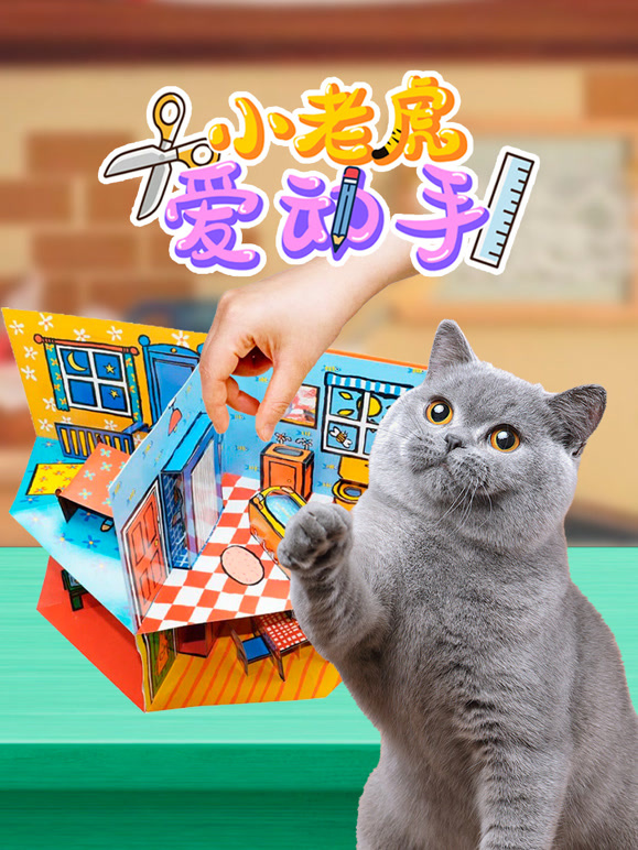 小老虎爱动手