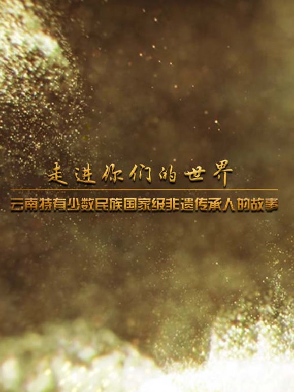 云南特有少数民族国家级非遗传承人的故事