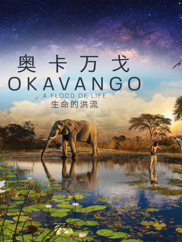奥卡万戈：生命的洪流