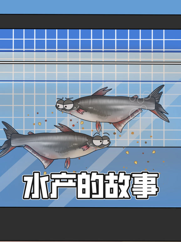 水产的故事