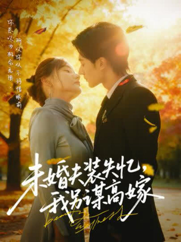 未婚夫装失忆，我另谋高嫁