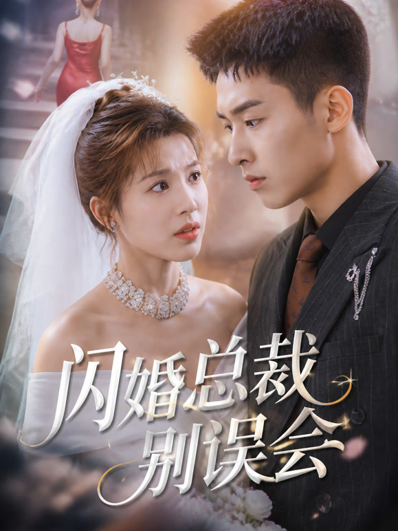 闪婚总裁别误会
