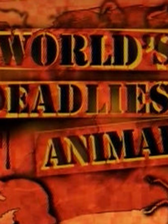 世界上最致命的动物2