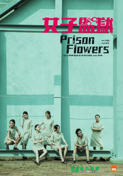 女囚风暴1995（粤语）