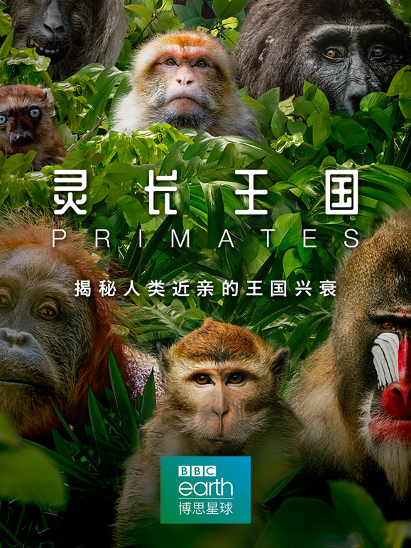 灵长王国 中文版