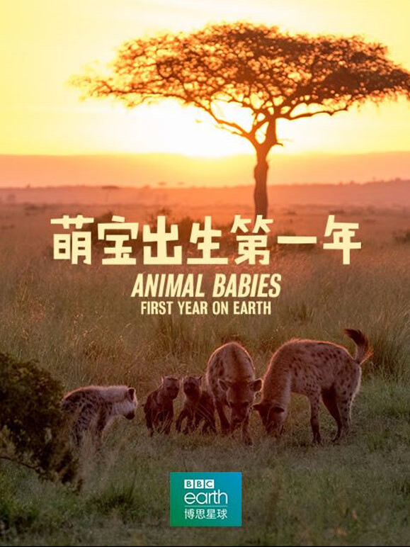 萌宝出生第一年中文版