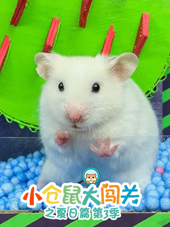小仓鼠大闯关之夏日篇 第三季