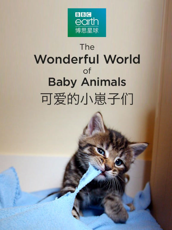 可爱的小崽子们中文版