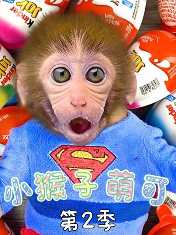 小猴子萌可 第二季