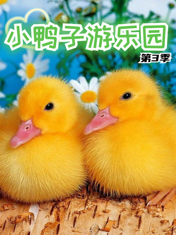 小鸭子游乐园 第三季