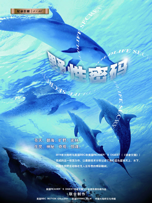 野性密码