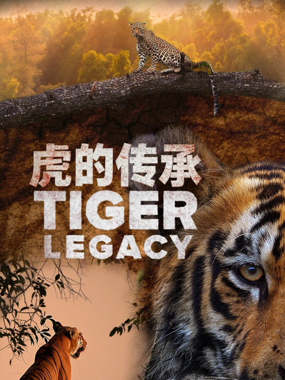 虎的传承