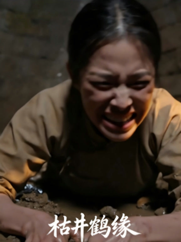 枯井鹤缘