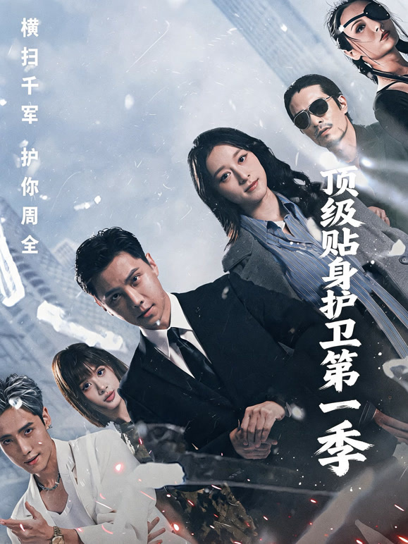 顶级贴身护卫第一季