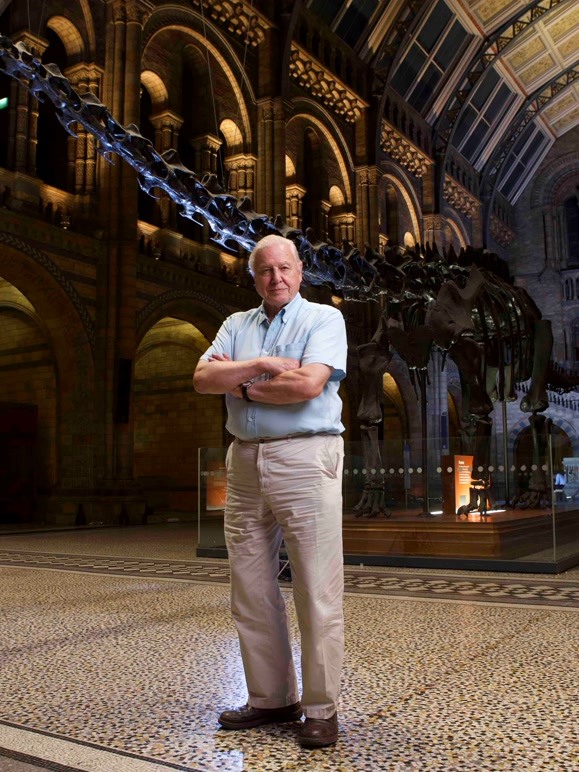 大卫·阿滕伯勒的全球探险