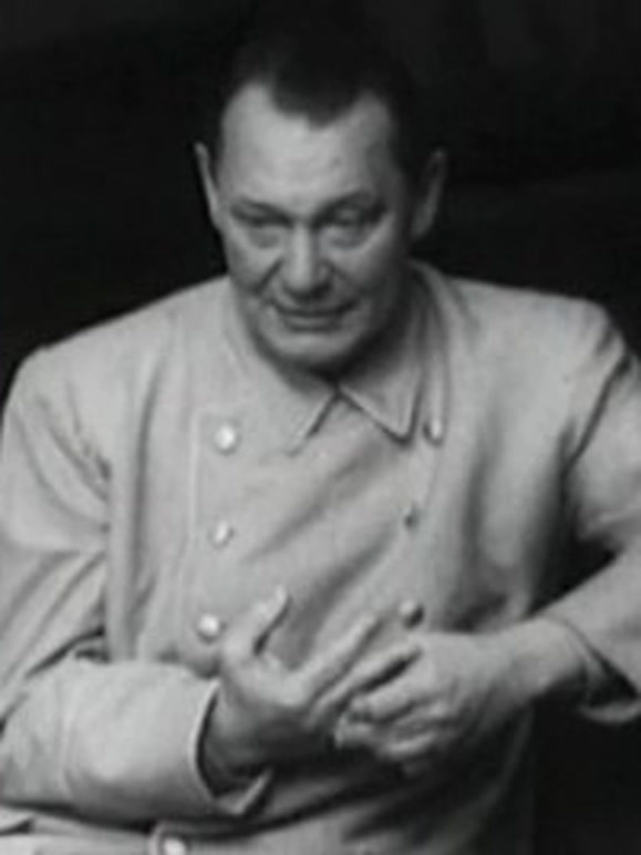 戈林的最后战役