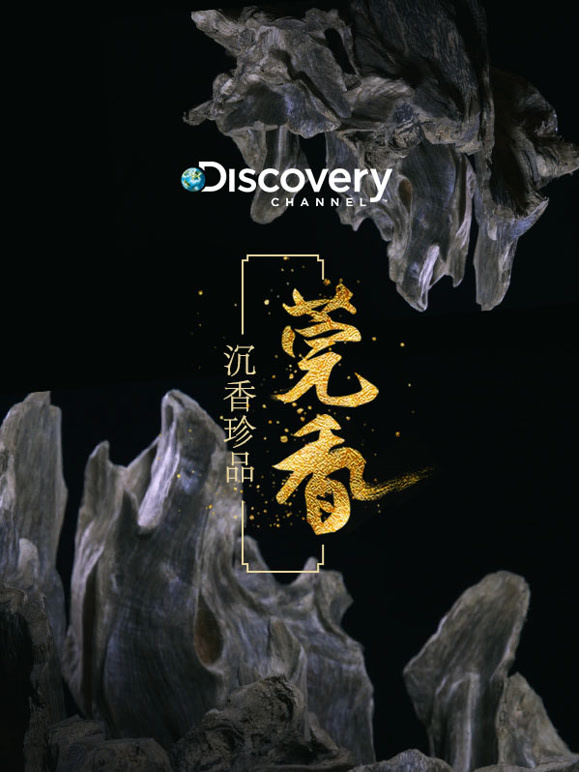 Discovery：沉香珍品 莞香