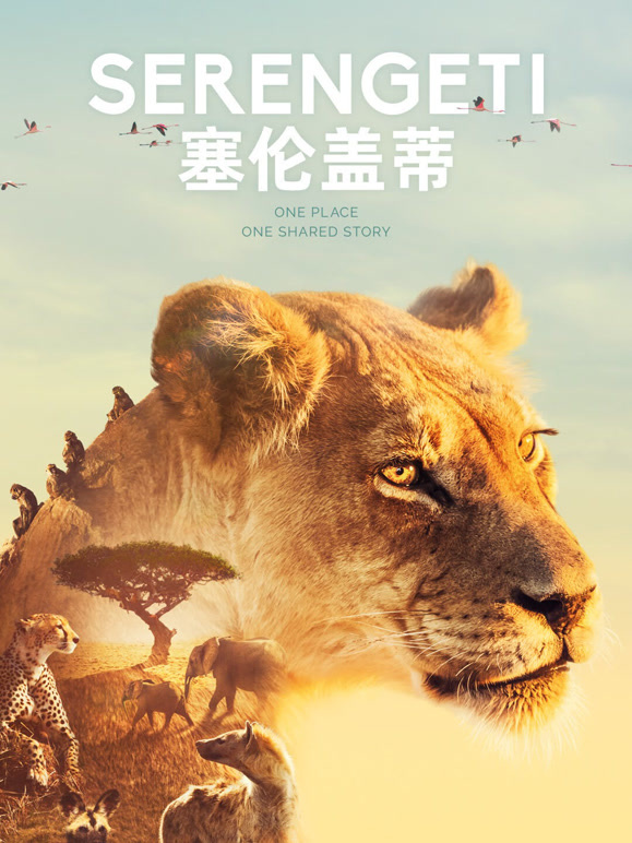塞伦盖蒂 第一季 中文版