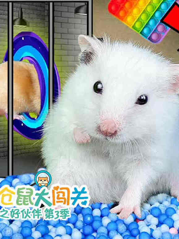 小仓鼠大闯关之好伙伴 第三季