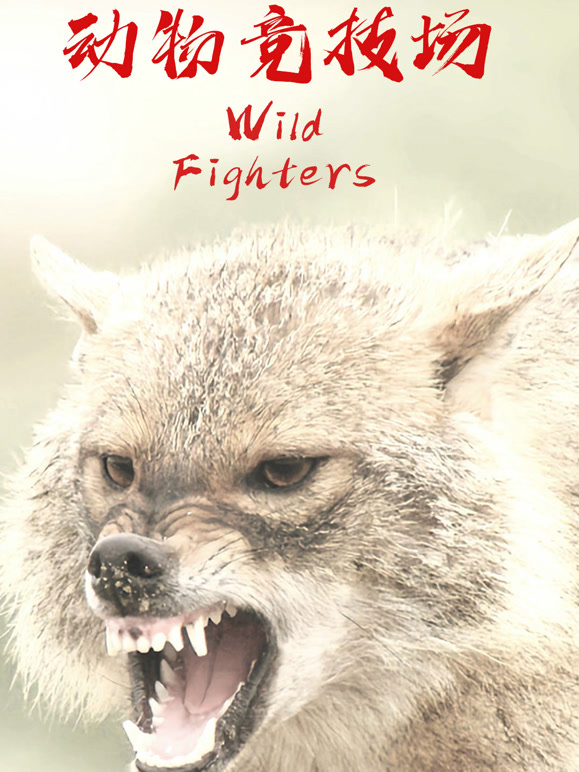 动物竞技场 英文版