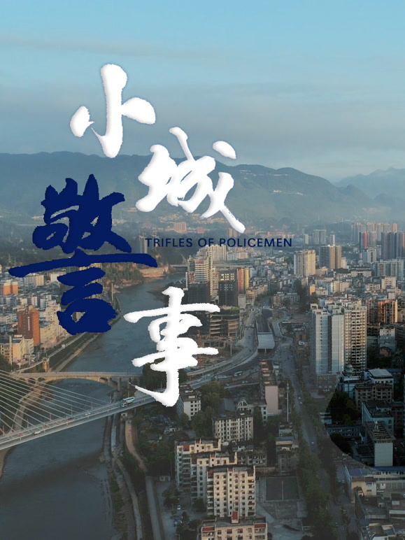 小城警事
