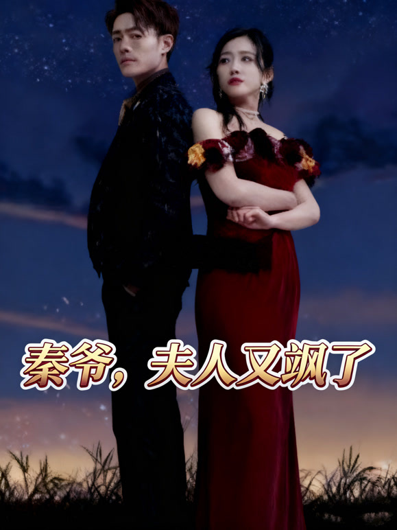 秦爷，夫人又飒了