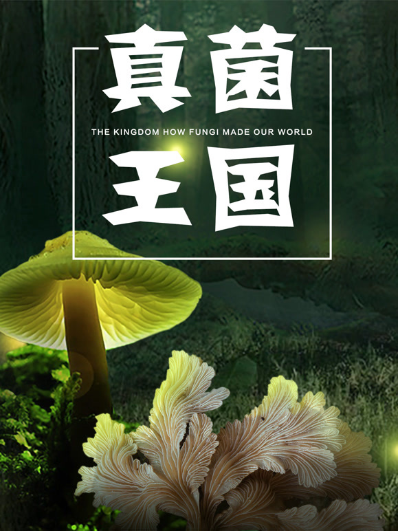 真菌王国