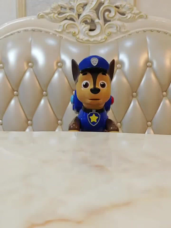 大头叔和小阿奇 的2026年合集1