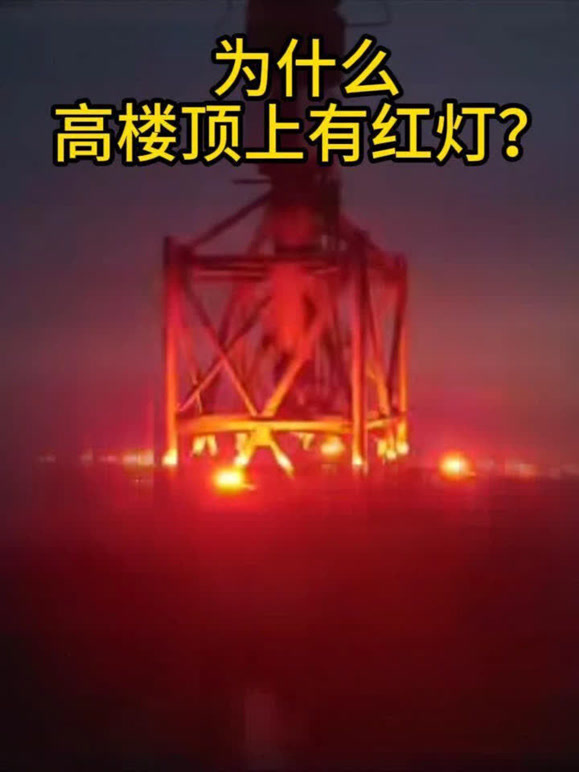 泡泡启蒙动画3的2026年合集
