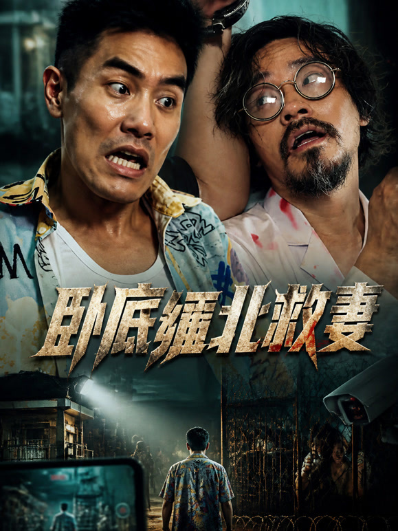卧底缅北救妻