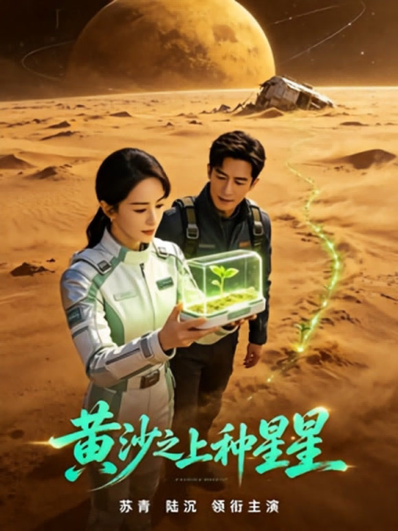 黄沙之上种星星