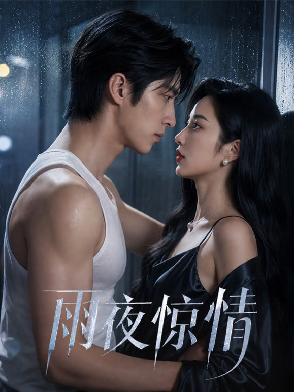 雨夜惊情
