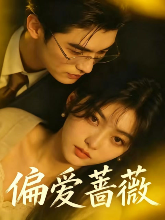 偏爱蔷薇