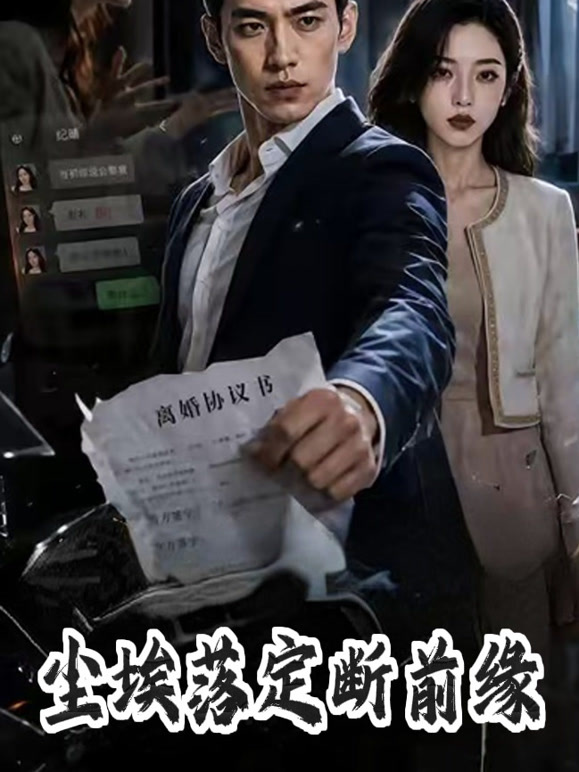 尘埃落定断前缘