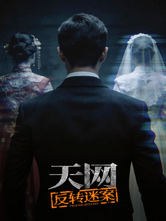 天网：反转迷案