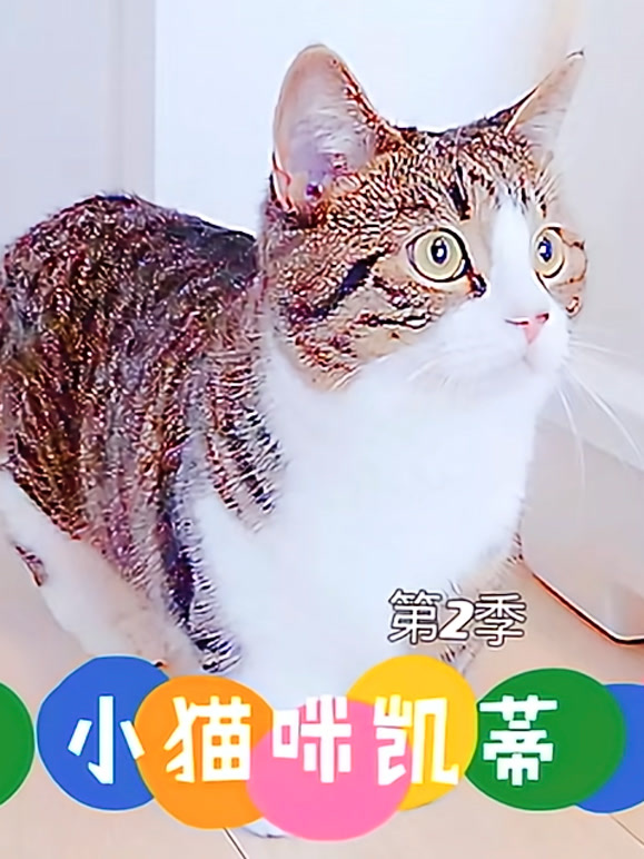 小猫咪凯蒂 第二季