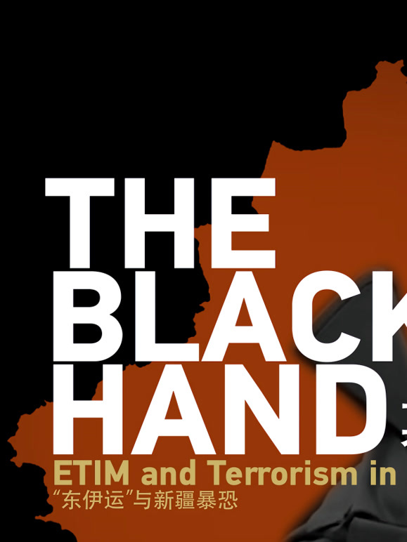幕后黑手 — “东伊运”与新疆反恐