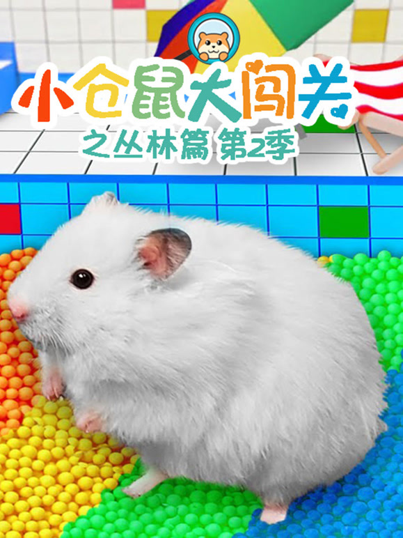 小仓鼠大闯关之丛林篇 第二季