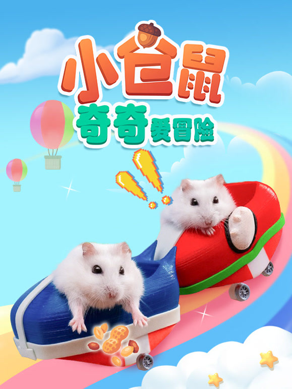 小仓鼠奇奇爱冒险
