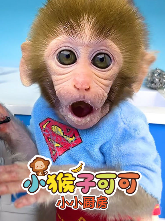 小猴子可可小小厨房