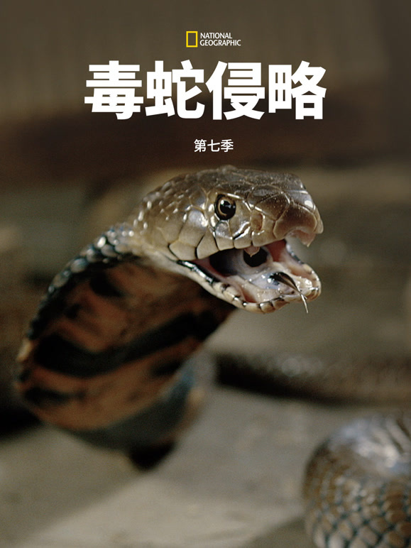 毒蛇侵略 第七季 中配版