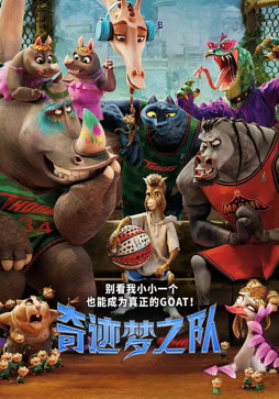 奇迹梦之队