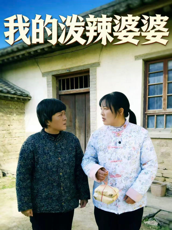 我的泼辣婆婆