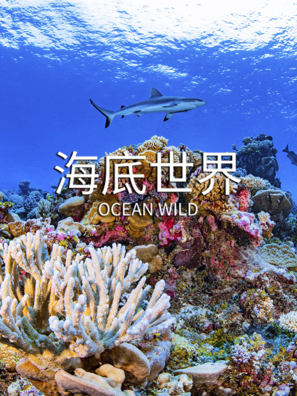 海底世界 中文版