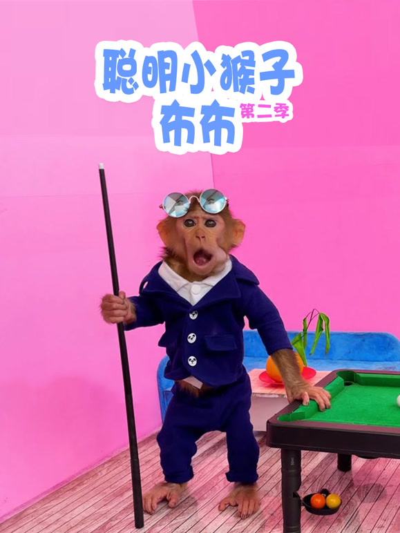 聪明小猴子布布 第二季