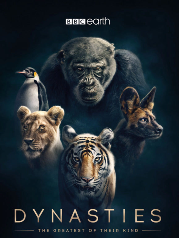 王朝 第一季 中文版